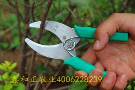 新品名钻果树环割剪 葡萄环割器 控制旺长剪刀 果树用具