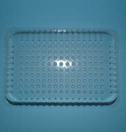 16*11cmPET一次性透明塑料托盒/高透明塑料食品托盒