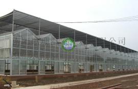 【歌珊温室】滁州|天长|怀远优质外遮阳网|温室专用外遮阳网