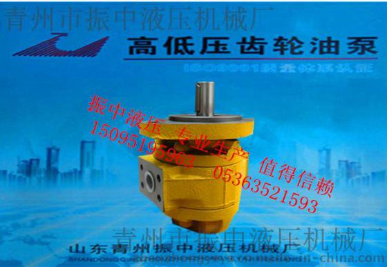 CBG1032山东青州齿轮油泵厂家可定制加工价格优惠