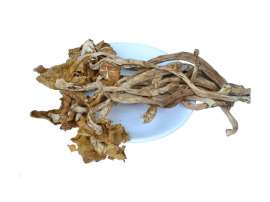 茶树菇别名：柱状环锈伞，杨柳菌，柳松菇，柳蘑，茶薪菇，柱状田头菇，杨树菇
